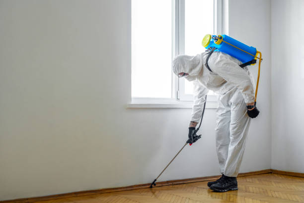 Real Estate Pest Inspections in Lucerne, CA